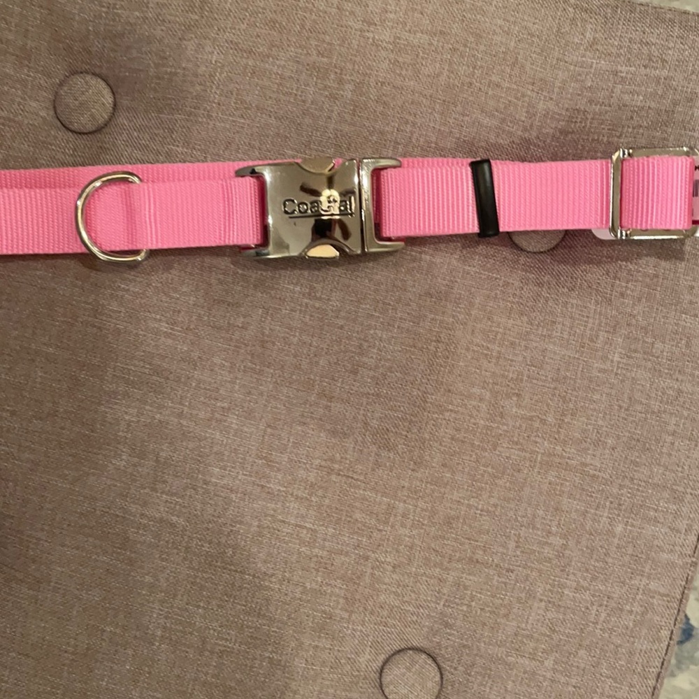 Dog collar